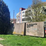 Ještě nedávno zakrýval vzrostlý tis pěticípou hvězdu.