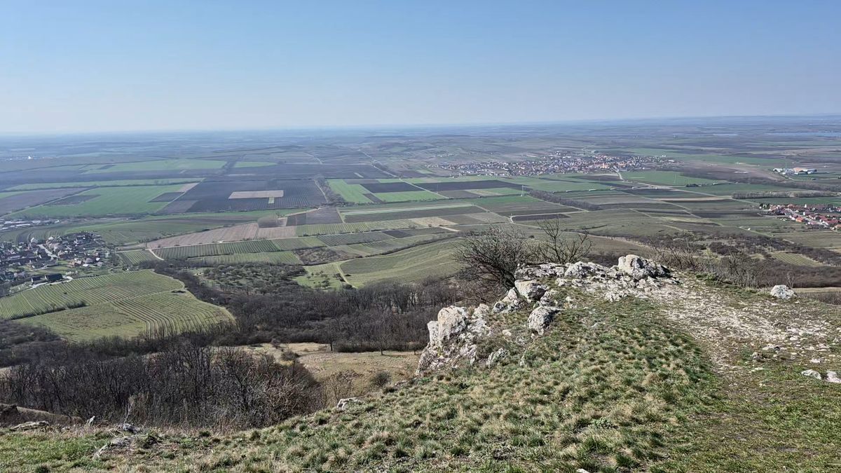 Pálava coby chráněná krajinná oblast slaví padesátku, zájem turistů o ni strmě roste