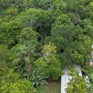 Dům působí dojmem, jako by jej architekti do přírody propašovali.