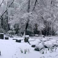 Zahradu dekoruje množství čedičových kamenů.