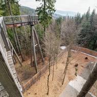 Návštěvníci se pohybují na lávce nad výběhem medvědů.