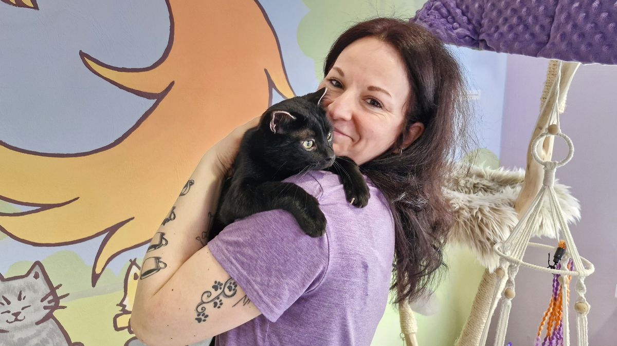 Výbuch plynu v brodské kavárně přežilo osm koček. Vyšetřování ani po roce žádný závěr nepřineslo