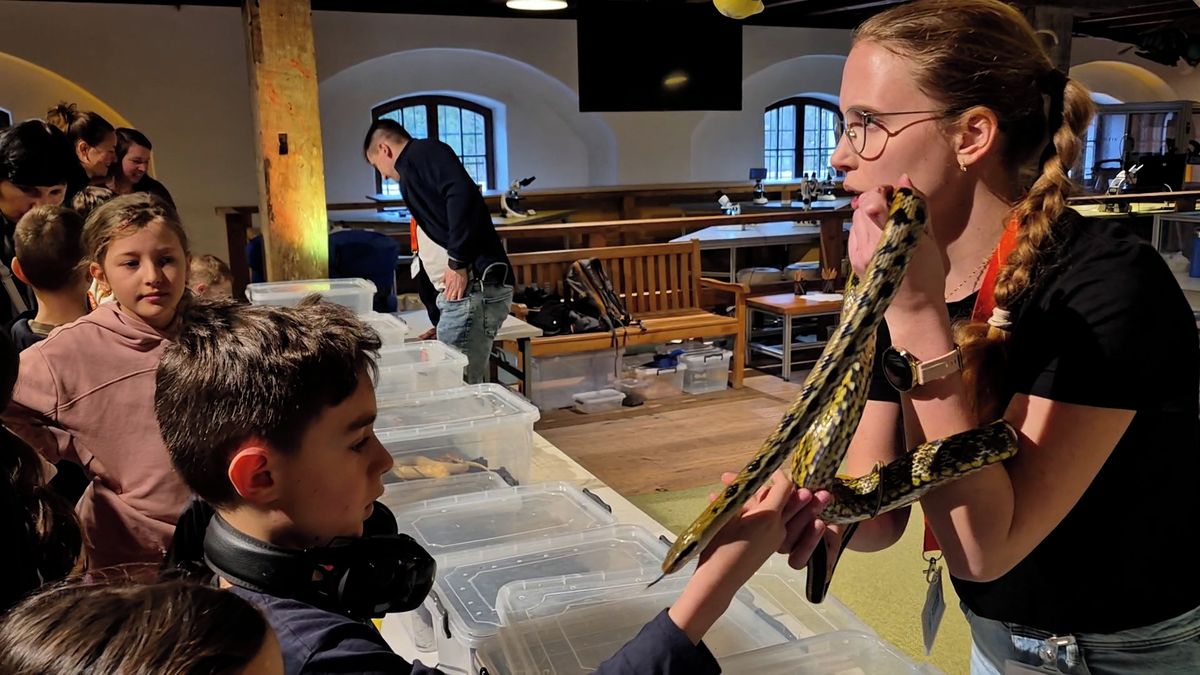 Hadi, žáby i švábi. Olomoucká Pevnost poznání představila tvory kouzelné i odpudivé