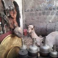 Na jemenských tržištích seženete prakticky cokoli.