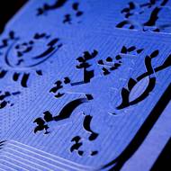 Reliéf českého lva chránící Ústavu. 