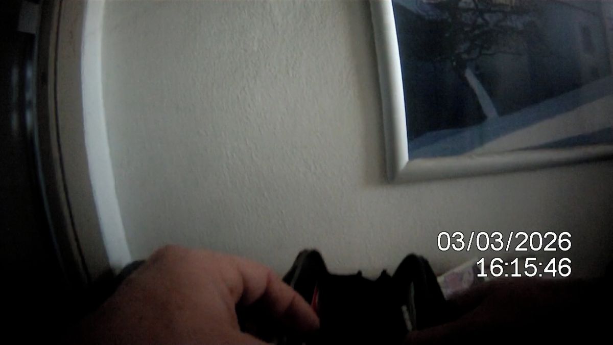 Školačky našly v centru Brna pod lavičkou naditou peněženku, odevzdaly ji strážníkům