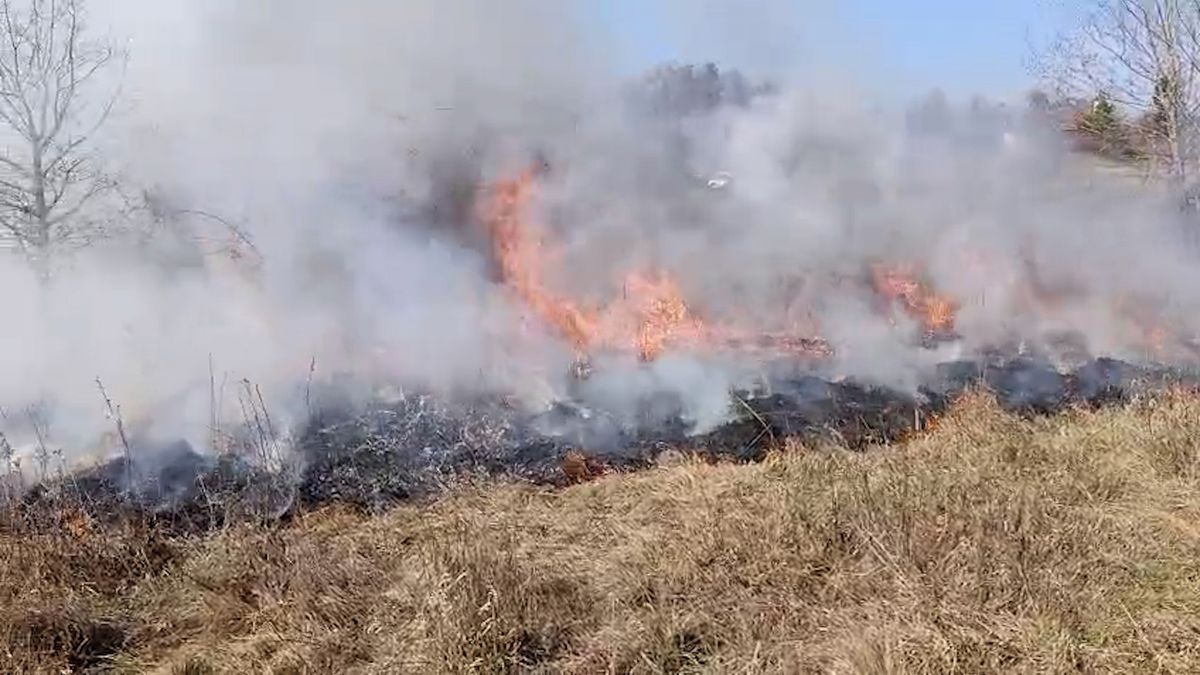 Ochranáři v Podyjí vypalovali louku, veřejnost této péči o krajinu nefandí