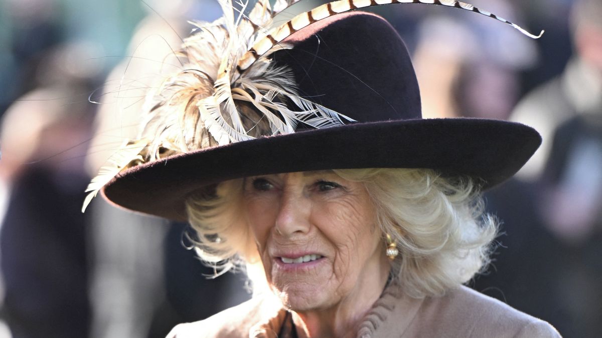 Britská smetánka se sešla na dostizích v Cheltenhamu: Královna Camilla zaujala kloboukem od předního modisty
