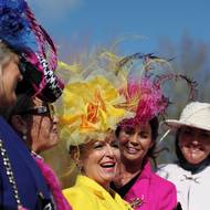 11. března se na festivalu slavil takzvaný Dámský den (Ladies Day), který se do programu vrátil po šesti letech.