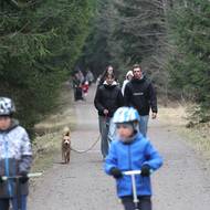 Do národní přírodní rezervace Ransko míří v březnu za rozkvetlými bledulemi davy lidí.