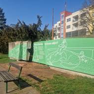 Dnes už dřevinu připomíná jen pařez.