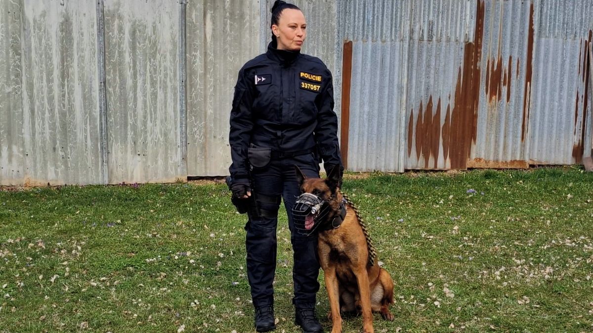 Zloděj v Brně měl smůlu, po stopě mu šel úřadující psí mistr republiky