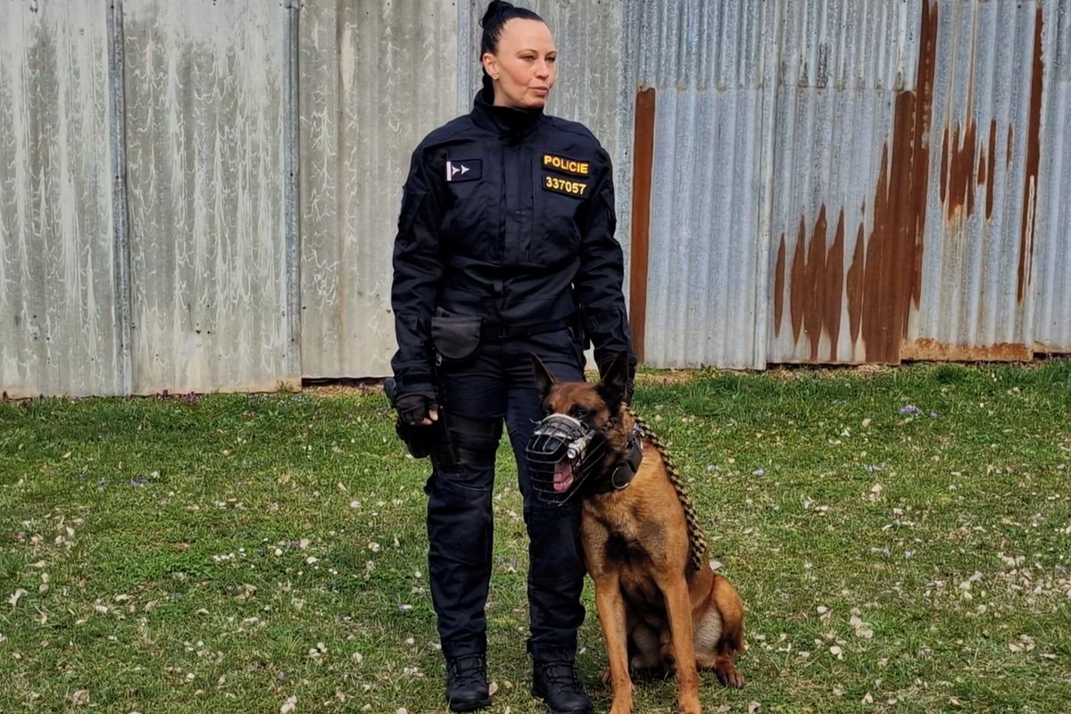 Zloděj v Brně měl smůlu, po stopě mu šel úřadující psí mistr republiky