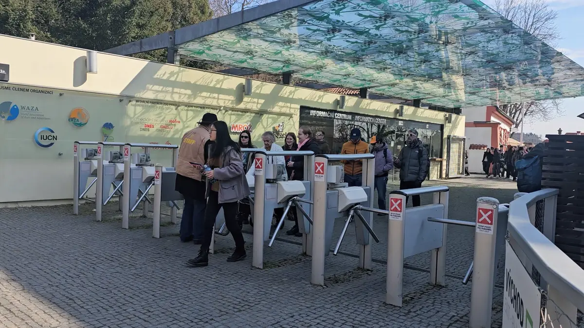 Nejmenší hyena světa i hřiště u Bororo pro děti. V pražské zoo začala 95. sezona