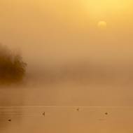 Voda je po zimě ještě studená a teplejší vzduch nad ní začne kondenzovat. Tak vzniká mlžný opar i nad jihočeskými rybníky. 