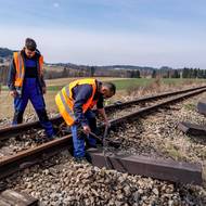 Dvě tratě, z Jindřichova Hradce do Nové Bystřice a Obrataně, jsou dlouhé skoro 80 kilometrů. A v posledních třech letech se po nich až na výjimky nejezdilo. 