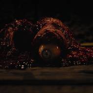 Komu nevadí pohled na odříznuté kusy těla, chvílemi dosti nechutný film Najdou si tě nejspíš zvládne.