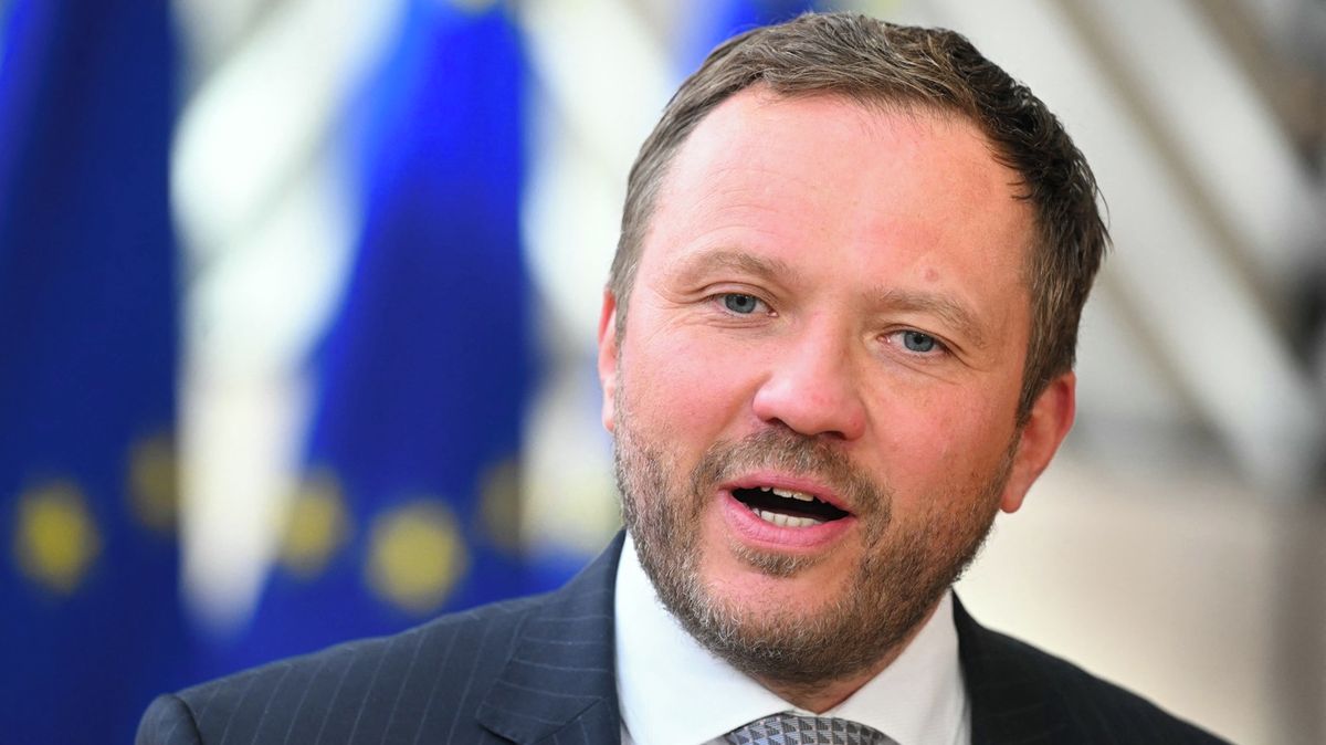 Dron, který zasáhl estonskou elektrárnu, byl ukrajinský