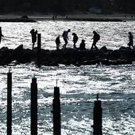 Velryba přilákala k moři spoustu turistů. Úřady pak musely oblast zavřít. 