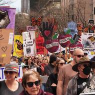Víkendový protest byl zřejmě největší jednorázovou demonstrací v dějinách USA. Účast se odhaduje na 8 milionů lidí na více než třech tisícovkách akcí. 