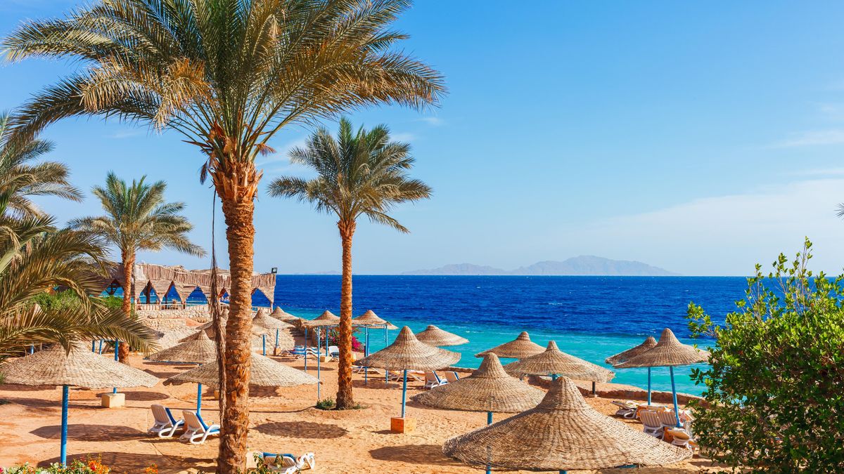 Rodiče odletěli k moři a nechali doma pět nezletilých dětí. A s nimi ještě pět psů a čtyři kočky