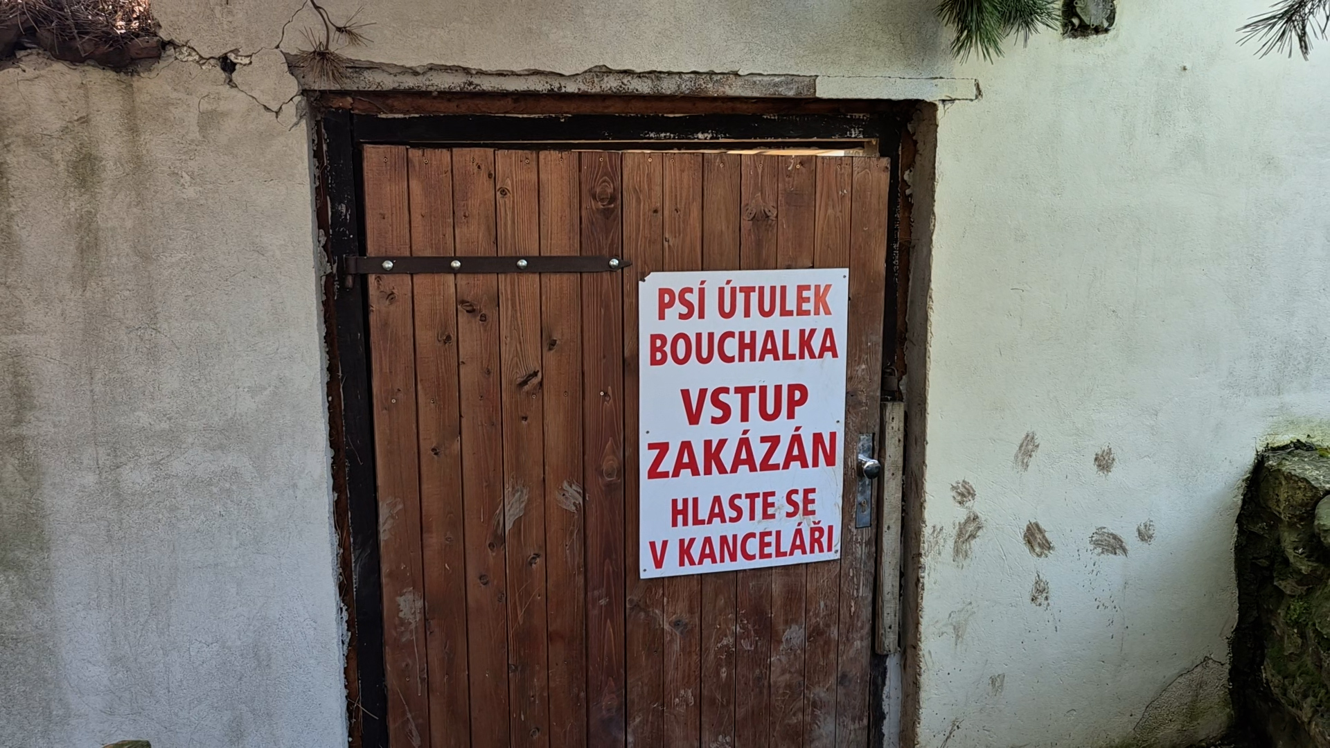 Údajné týrání a utrácení psů v útulku na Kladensku řeší veterináři i policie