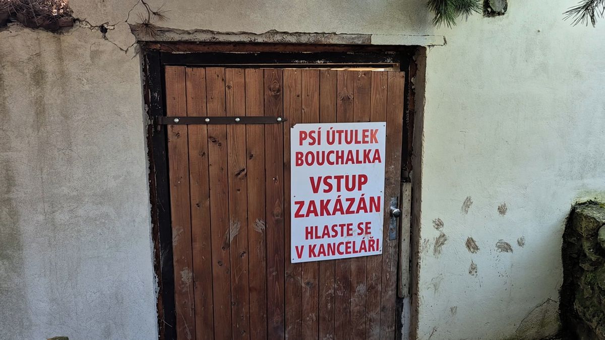 Údajné týrání a utrácení psů v útulku na Kladensku řeší veterináři i policie
