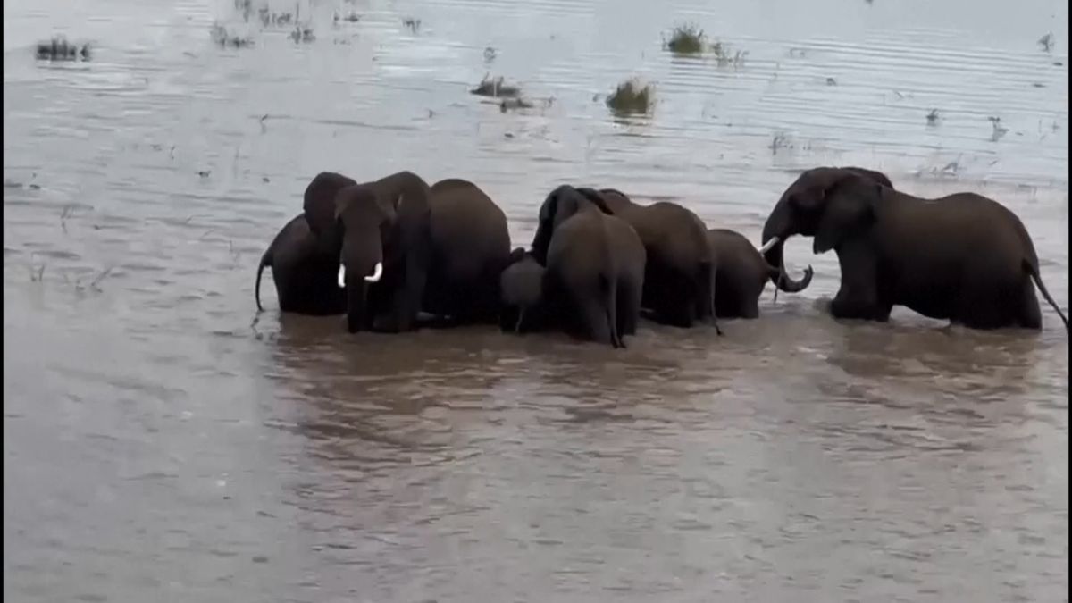 Kvůli záplavám v Keni evakuovali obyvatele i turisty
