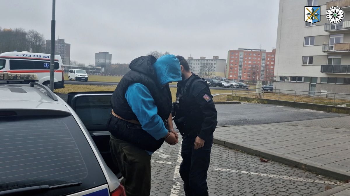 Ostravská policie chytila dva kurýry. Obrali seniorku o miliony