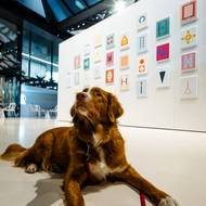 Každý steh či linie je dokladem situace, kterou „nelze odestát“. 