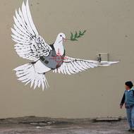 Holubice míru v Palestině v roce 2007. 