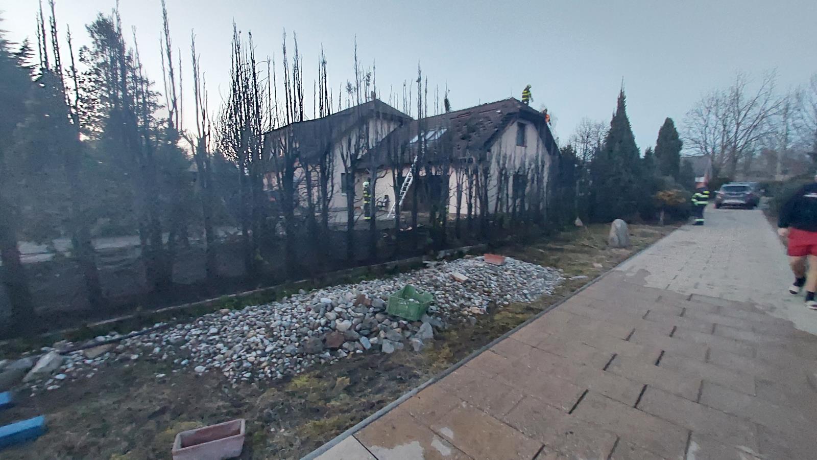 Vilku v Českém Vrbném zapálil žhář. Policisté hledají svědky