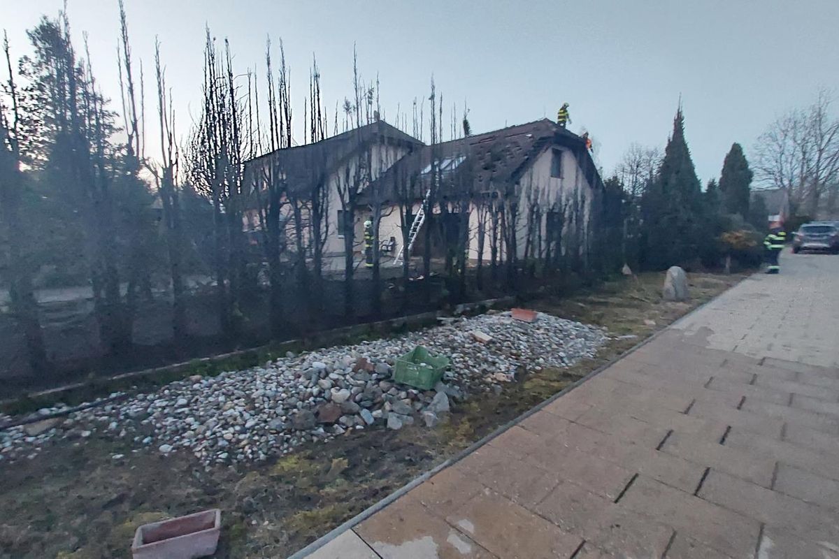 Vilku v Českém Vrbném zapálil žhář. Policisté hledají svědky