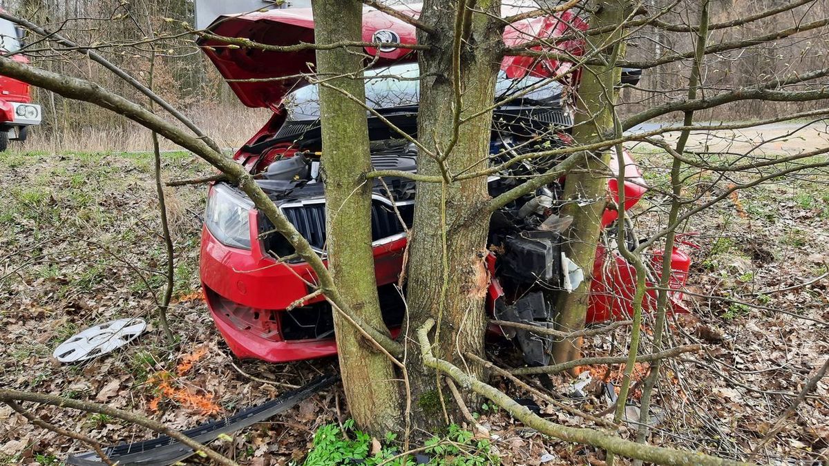 Osmnáctiletý řidič na Šumpersku nezvládl auto a narazil do stromu