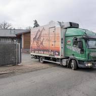 Skupinka samců z různých zoologických zahrad Evropy je nyní ve Dvoře Králové nad Labem.