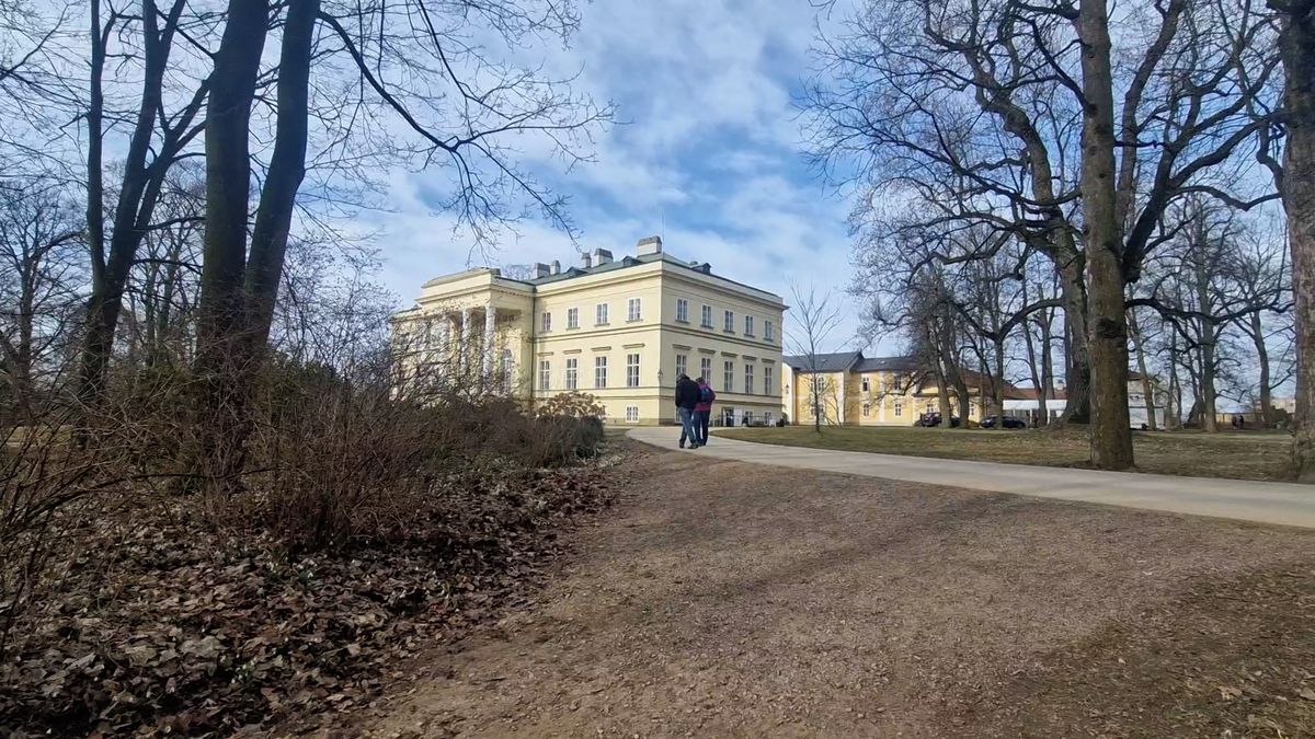 Koberce z bledulí u zámku Františka Kinského letos lákají více návštěvníků