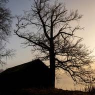 Unikátní třeboňské seníky. 