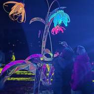 Snová motýlí louka s velkými barevnými květinami i duhovými bublinami nedaleko kostela U Ježíška