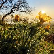 Pálava láká tisíce turistů.