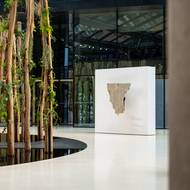 „Šaty“, zavěšené textilní objekty, pro autorčinu tvorbu tak typické, fungují jako mapy vnitřních krajin – míst a situací odpozorovaných specificky v Pošumaví, odkud Klesalová pochází. V nich se koncentruje čas, paměť i děje každodenního života. 