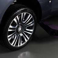 Zaujmou fialová ramena zvedáku.