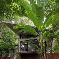 Architekti stavbu navrhli tak, aby kvůli ní nebylo potřeba pokácet jediný strom na pozemku.