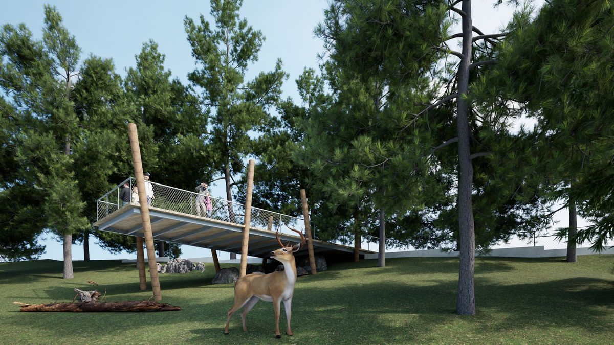 Brněnská zoo postaví novou expozici s visutou lávkou pro vzácné jeleny milu