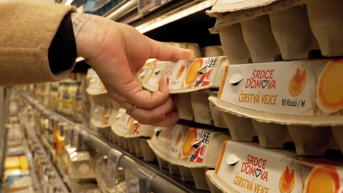 Vejce kvůli ptačí chřipce a vyšší poptávce ještě podraží