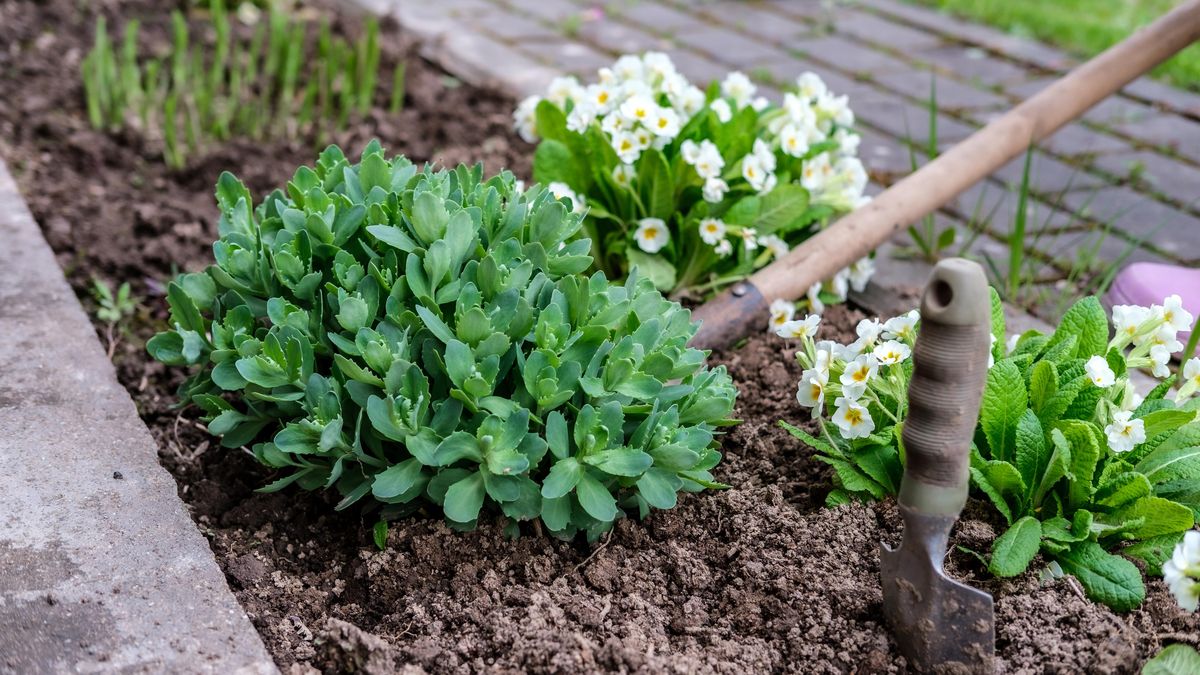 Jarní zakládání záhonu krok za krokem: od rytí po chytré alternativy