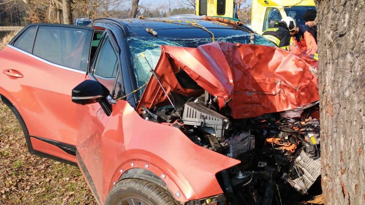 Řidič na Třeboňsku narazil do stromu, na místě zemřel