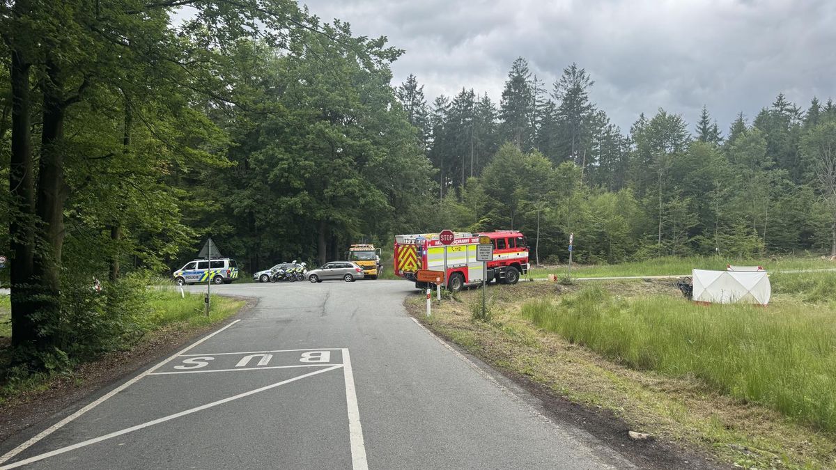 Řidič náklaďáku byl pod vlivem drog a alkoholu. Šofér v protisměru po čelní srážce zemřel