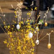 Jedna váza v místnosti bohatě stačí. Pokud v ní je rozkvetlá zlatice se zavěšenými vajíčky, je skoro zbytečné hledat ještě nějaké další dekorace. 