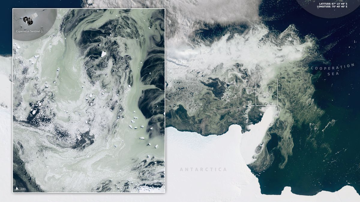 Satelit zachytil u Antarktidy nezvykle zelený mořský led