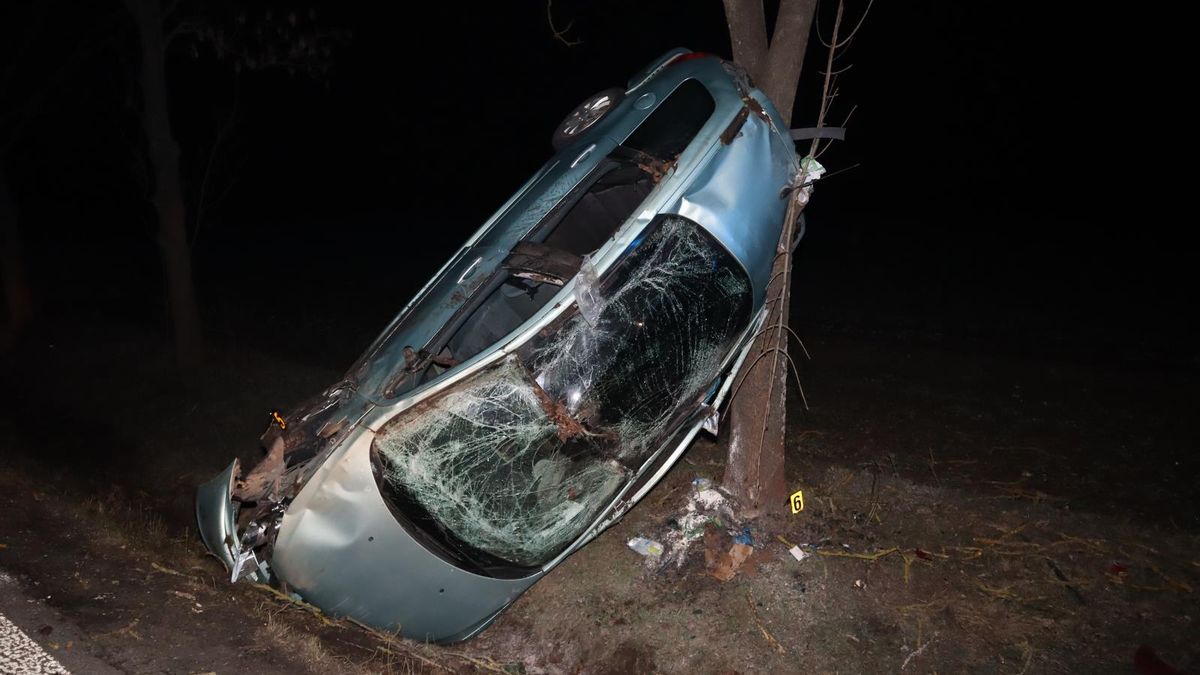 Opilý řidič narazil na Českolipsku do svodidel a auto opřel o strom